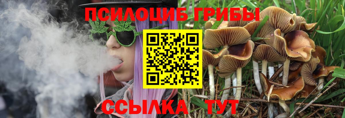 Псилоцибиновые грибы ЛСД Дербент